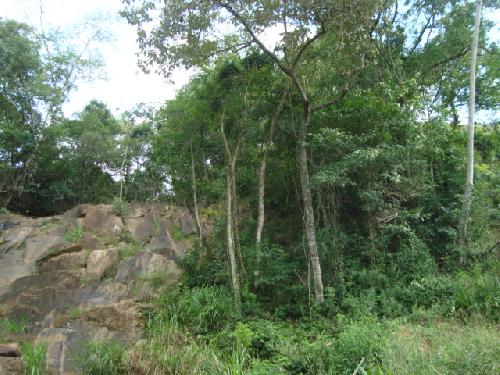 769ce5016c59dfd12432f7507981988c