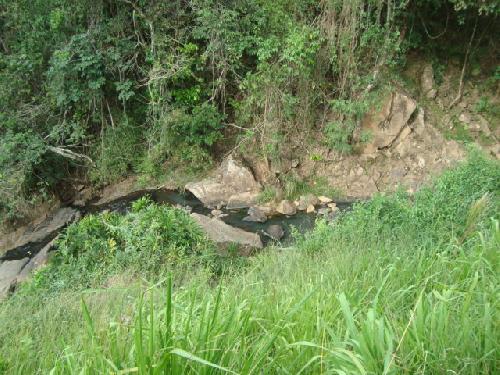 e0156f6fb352dbb94d33e40e684b4b1c