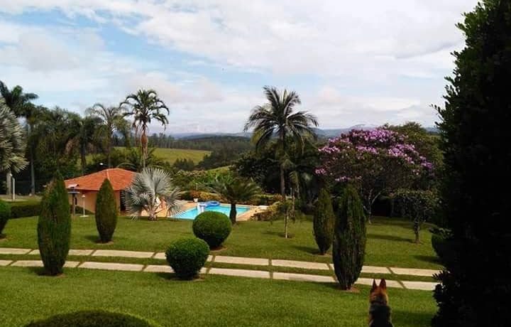 58376852_2284406451833363_714888845333626880_n