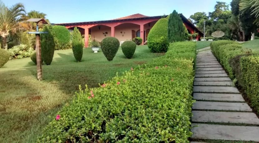 58378359_376112269782580_8521547245084999680_n