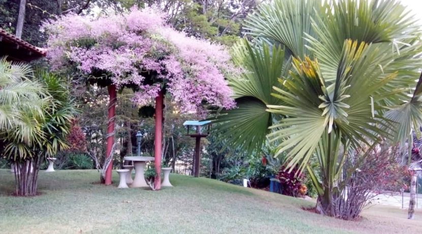 58440155_352630495597519_1260375826801623040_n