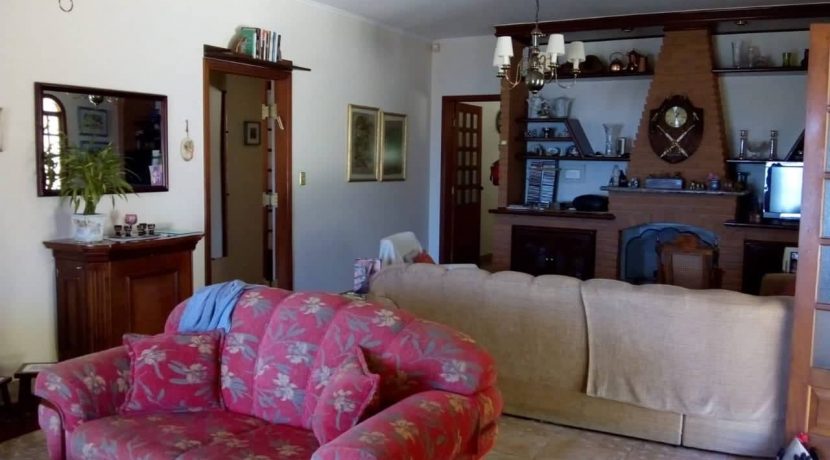 58549629_678439682613772_2845591811295019008_n