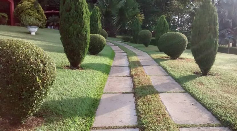 58722635_387546505429217_5760322266659291136_n