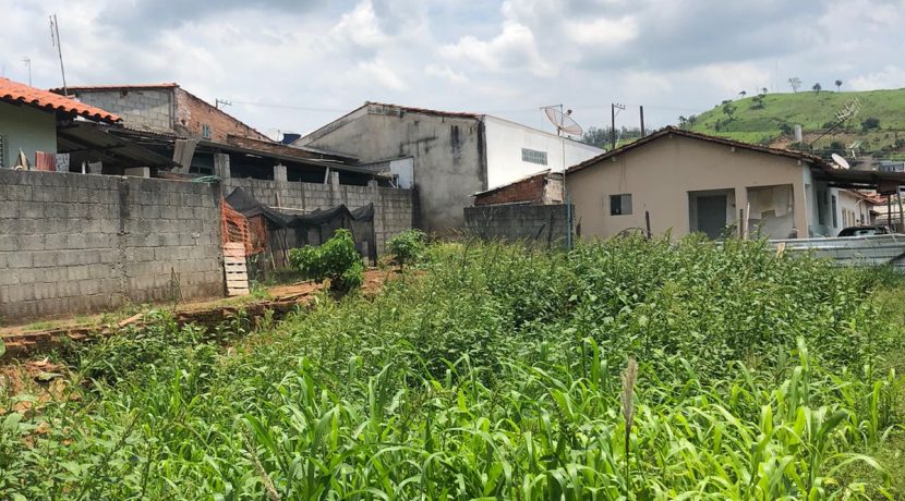 WhatsApp Image 2023-10-31 at 12.19.15