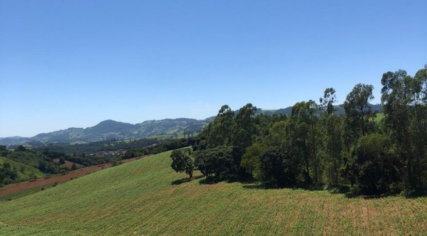 WhatsApp Image 2023-11-06 at 10.39.14